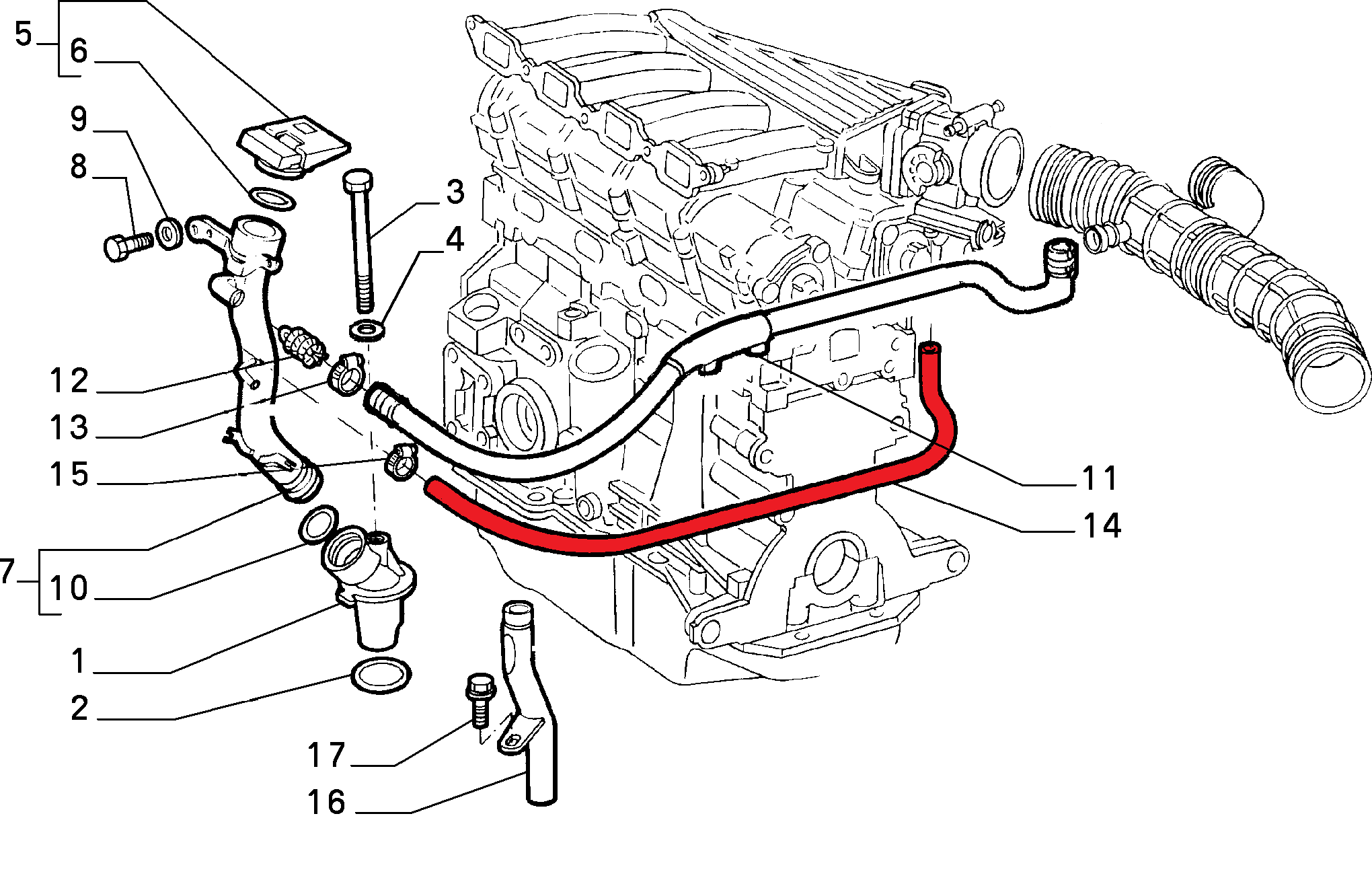 FUEL HOSE