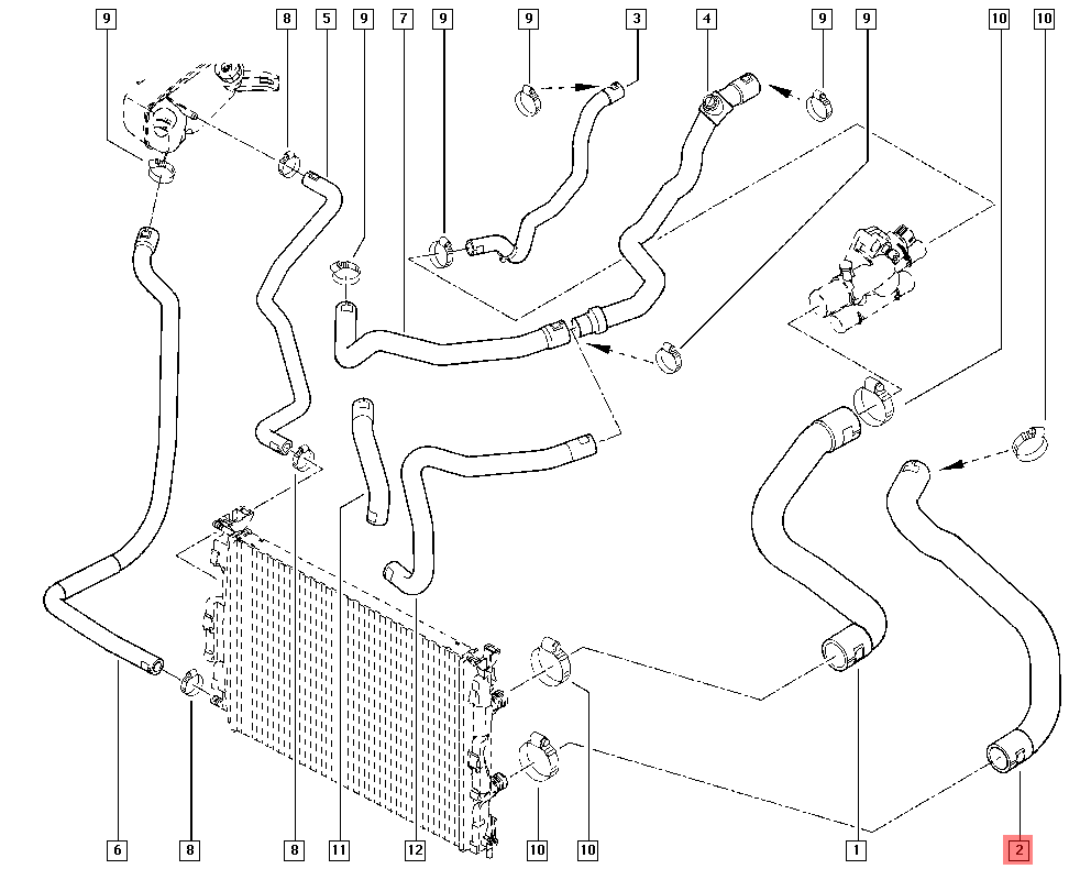 RADIATOR OUTLET HOSE