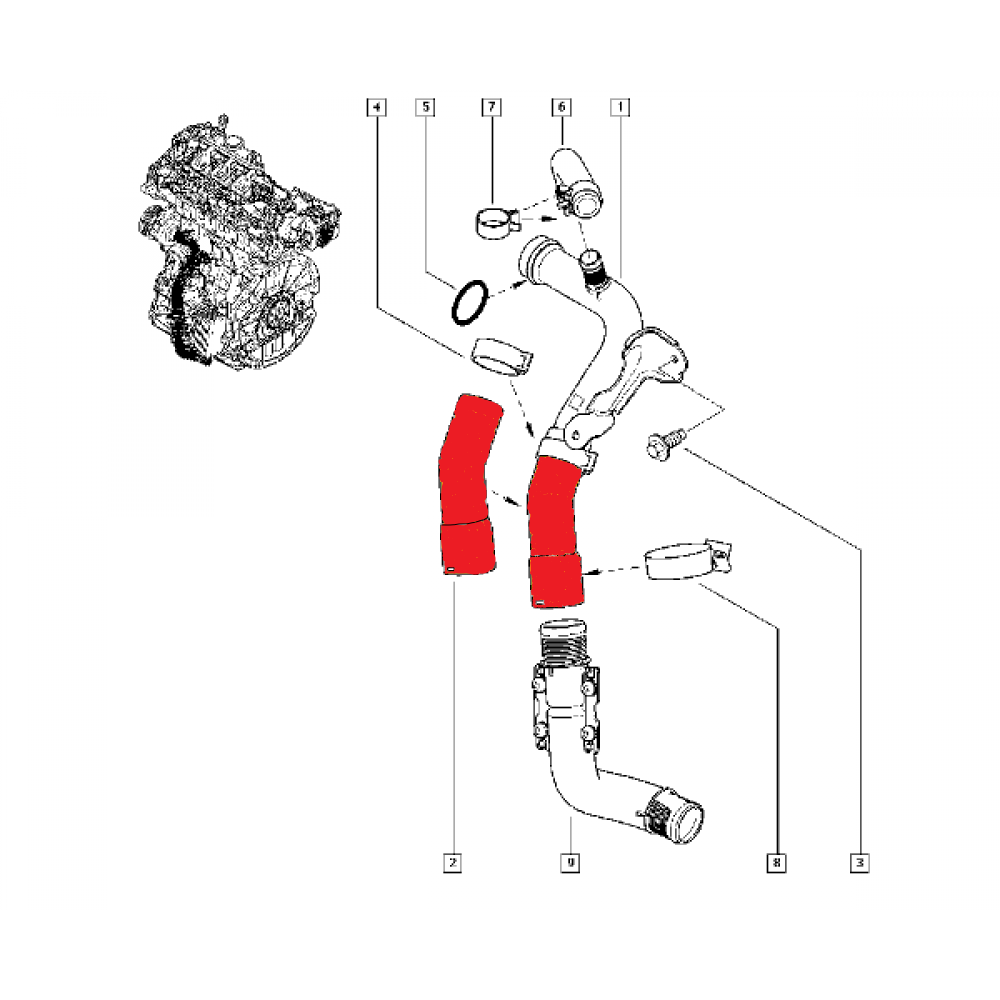 WATER HOSE