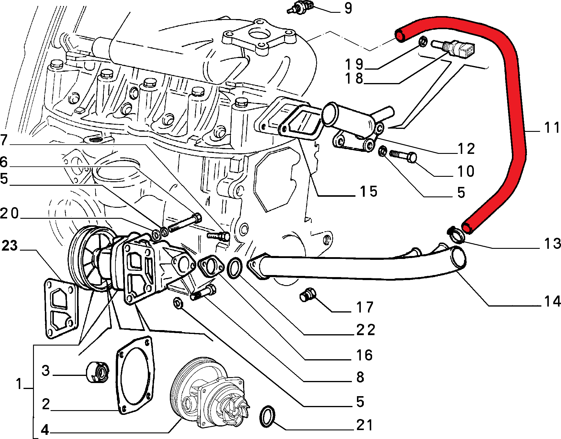 WATER PUMP HOSE