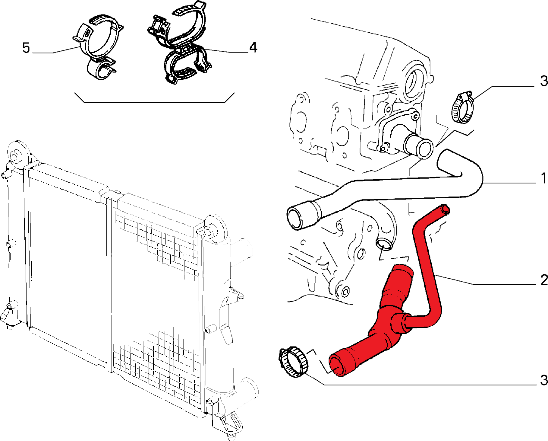RADIATOR OUTLET HOSE