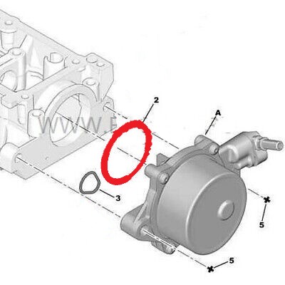 VACUUM PUMP SEAL