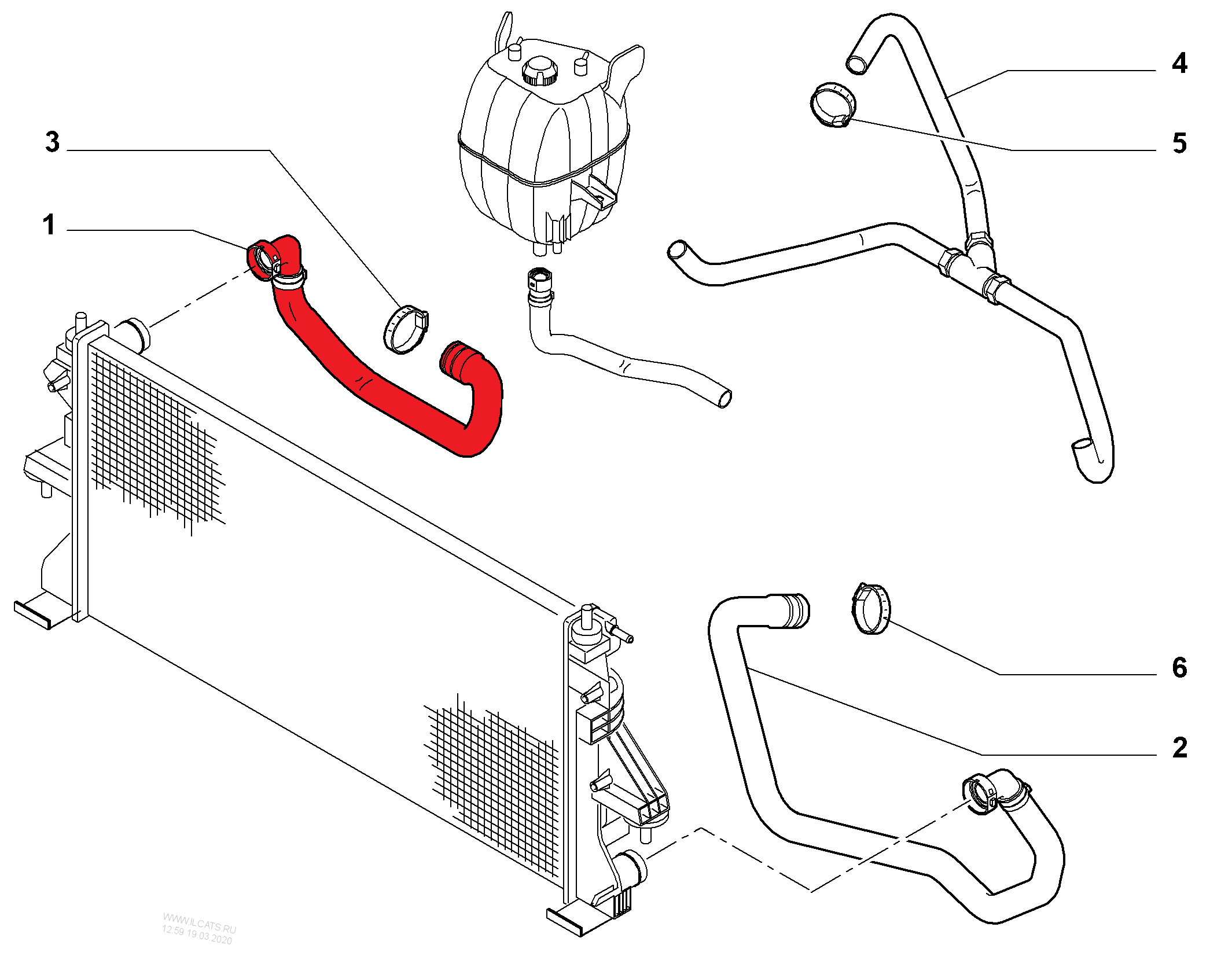 RADIATOR INLET HOSE