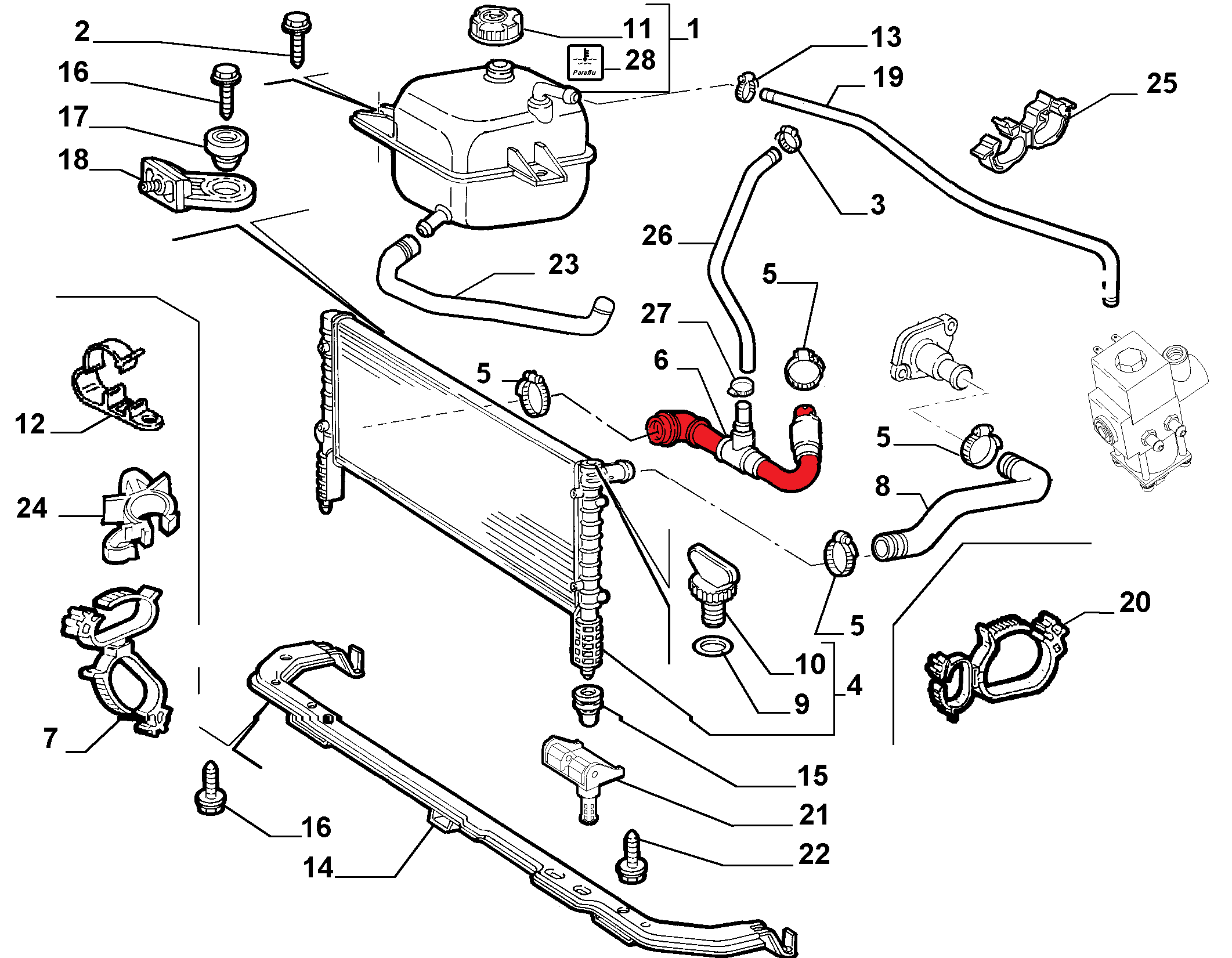 RADIATOR OUTLET HOSE
