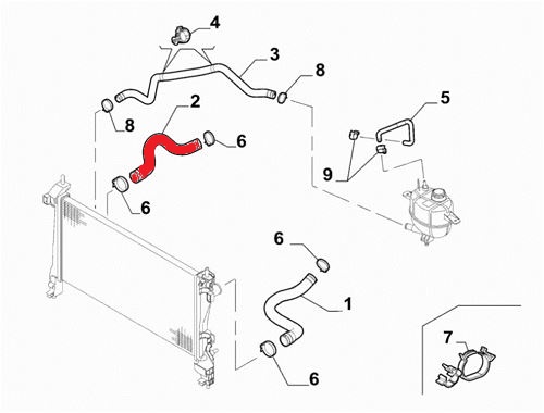 RADIATOR OUTLET HOSE