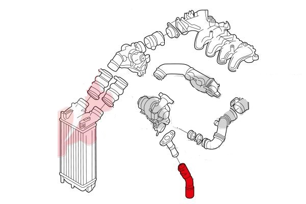 TURBO HOSE