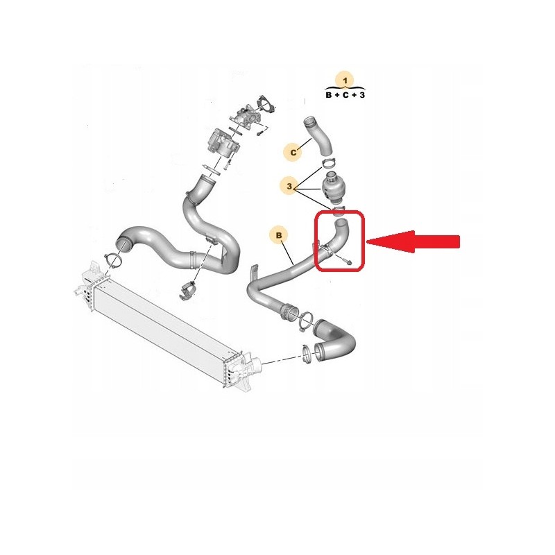 TURBO HOSEEXCLUDING METAL PIPE 