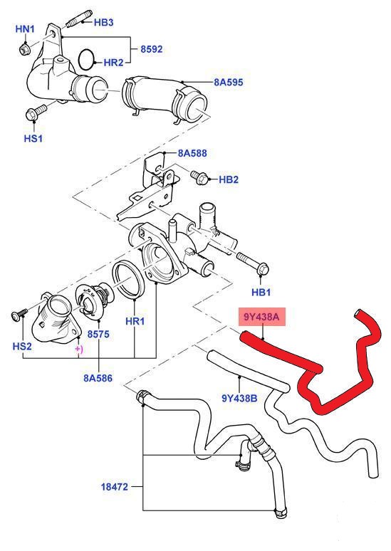 HEATER HOSE