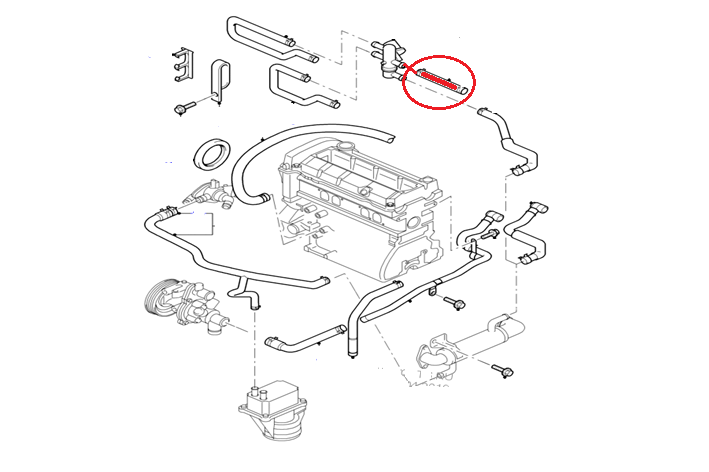 FUEL TANK HOSE