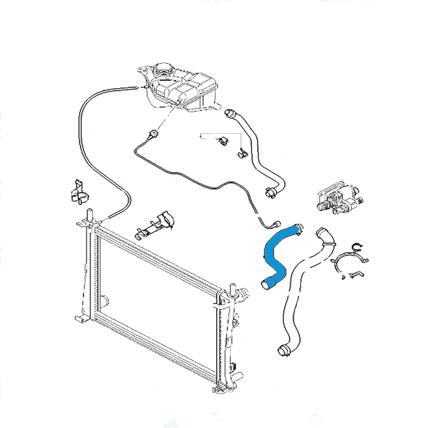 RADIATOR INLET HOSE