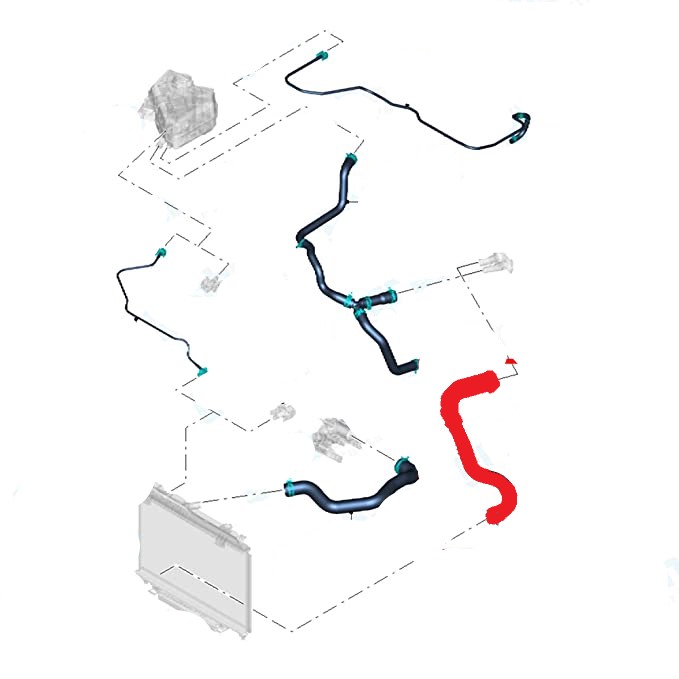 RADIATOR OUTLET HOSE