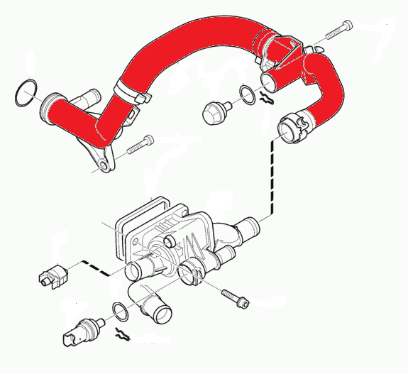 WATER HOSE