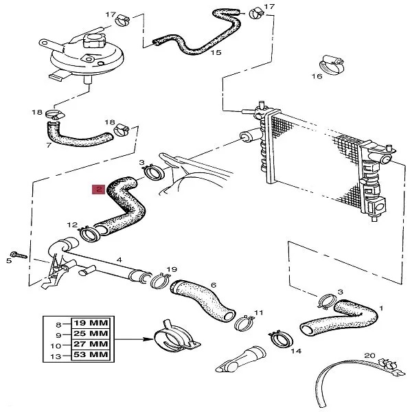 RADIATOR OUTLET HOSE