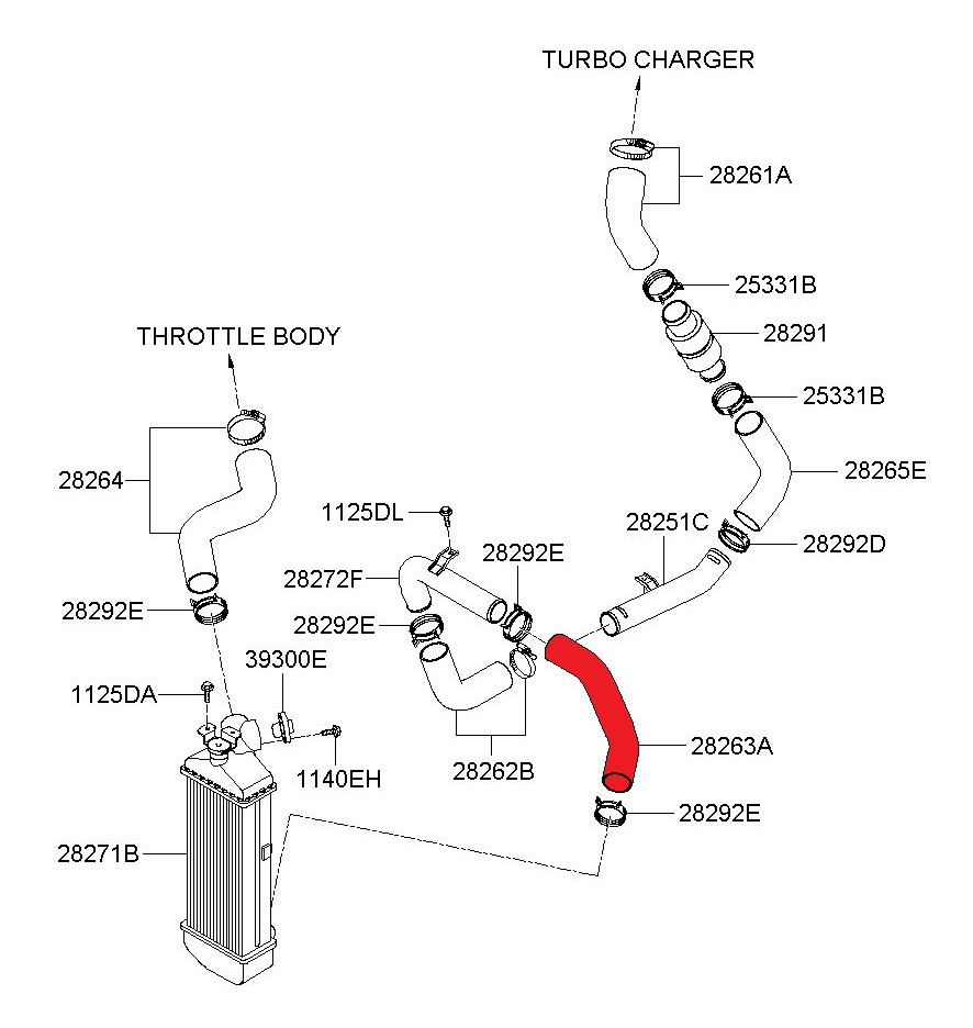 TURBO HOSE