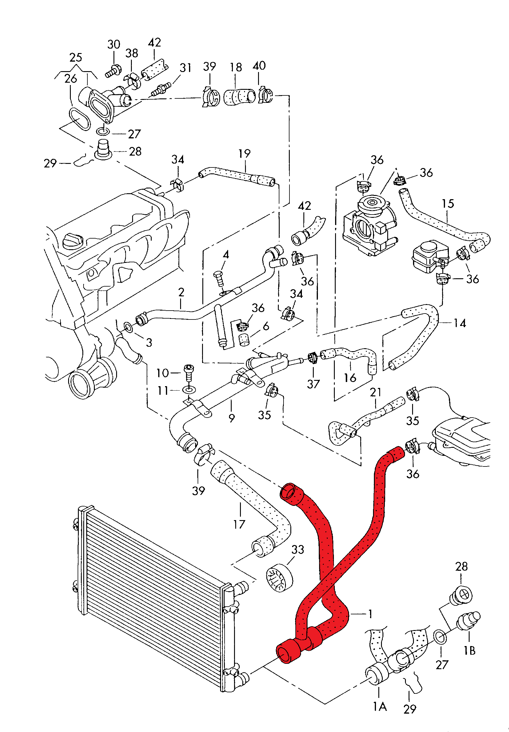 RADIATOR OUTLET HOSE