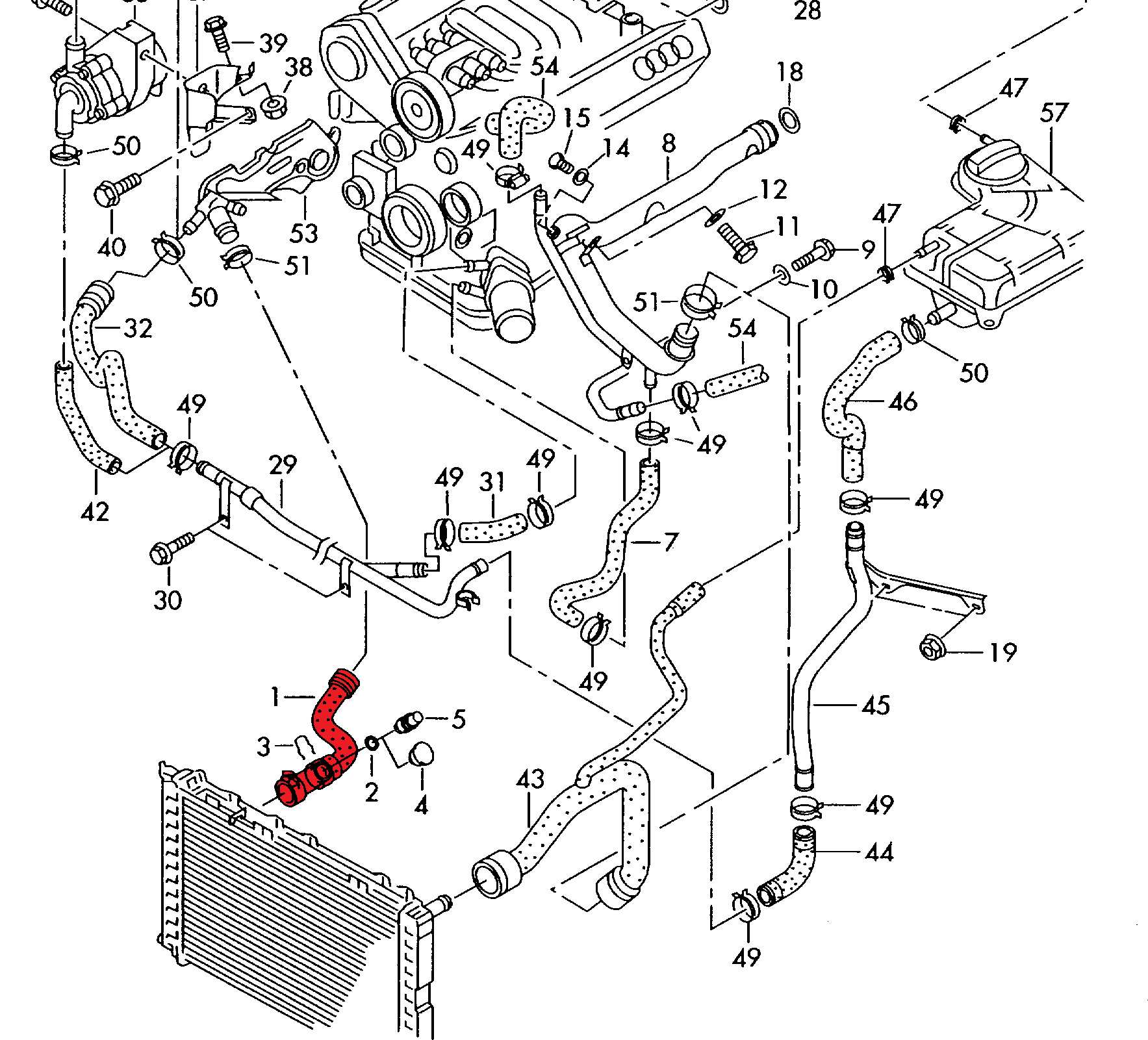 RADIATOR OUTLET HOSE