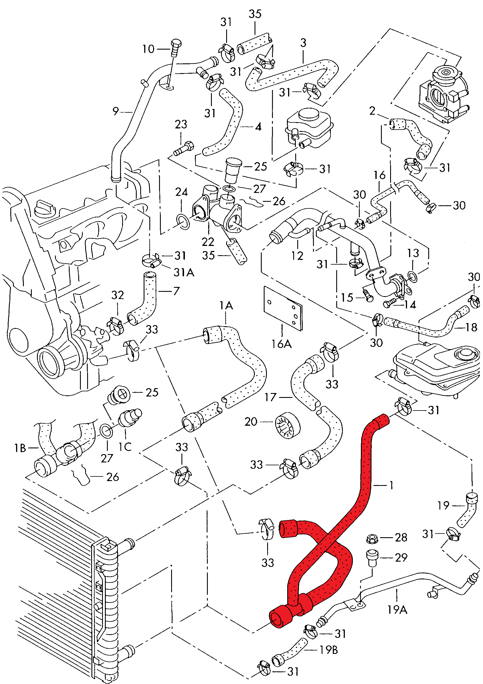 RADIATOR OUTLET HOSE