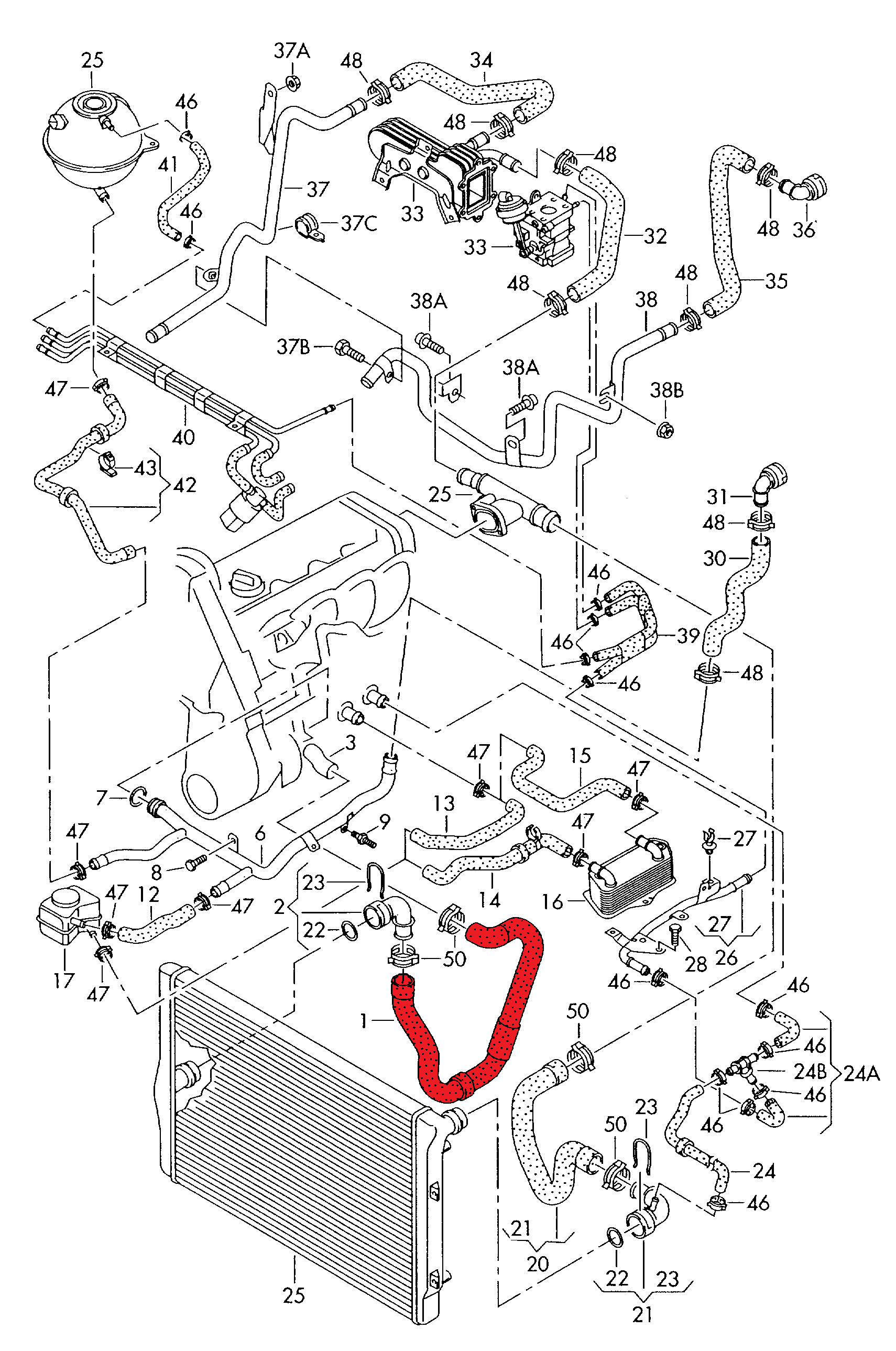 RADIATOR OUTLET HOSE