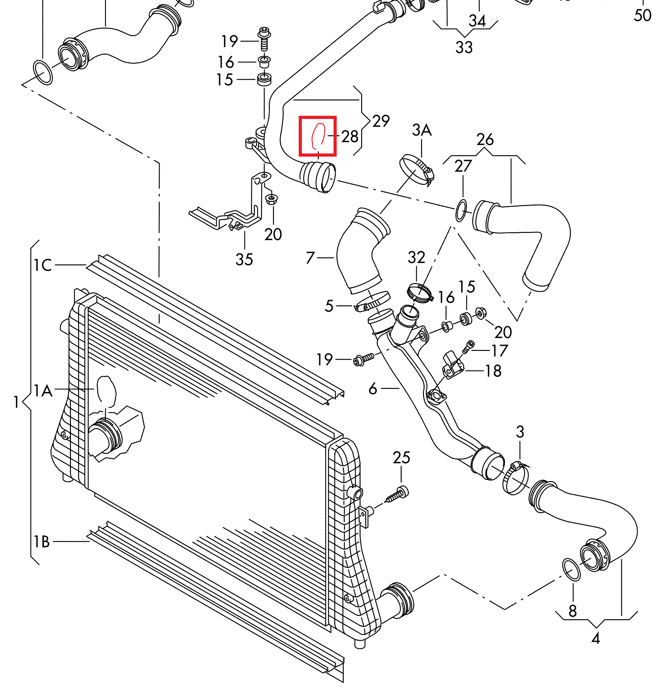 TURBO PIPE CLIPS