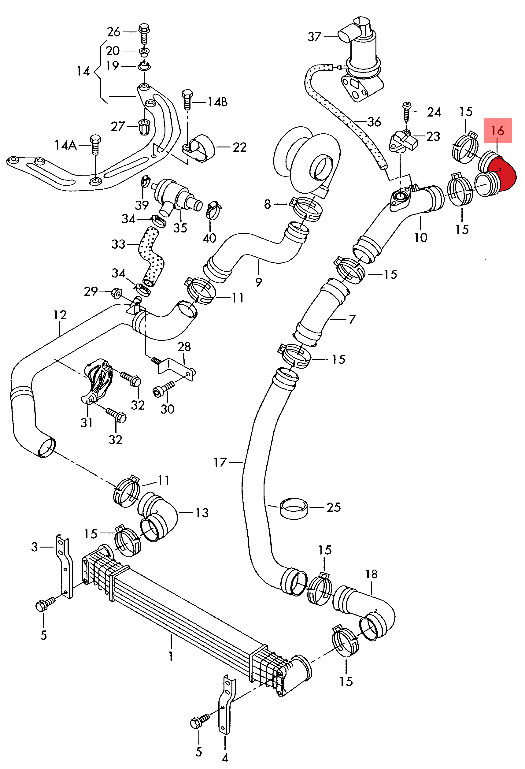 TURBO HOSE