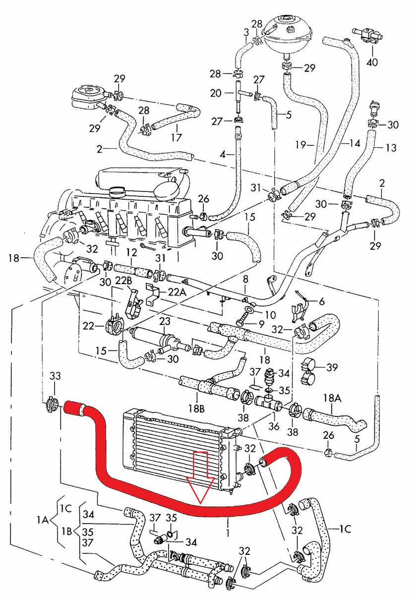RADIATOR OUTLET HOSE