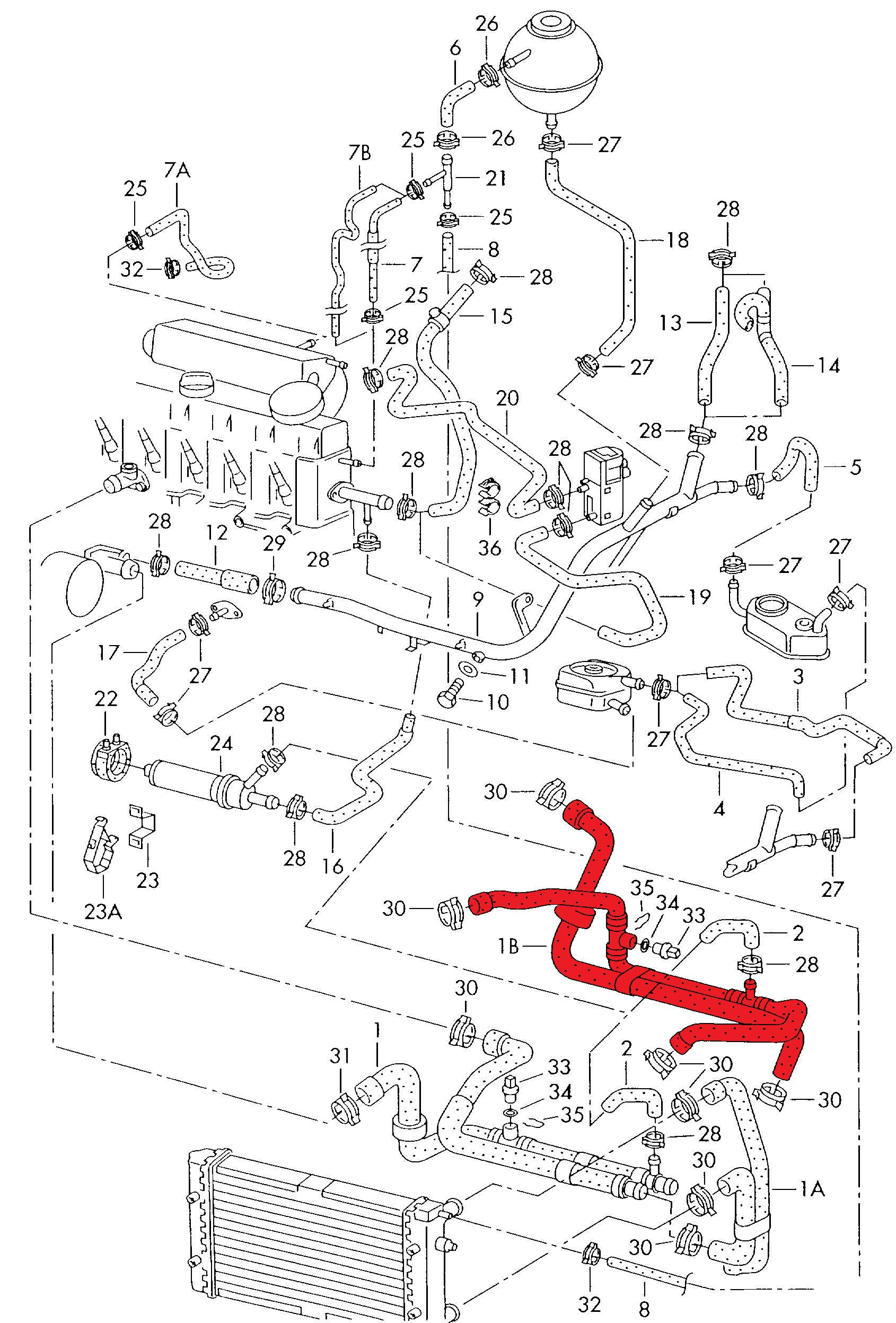 RADIATOR HOSE