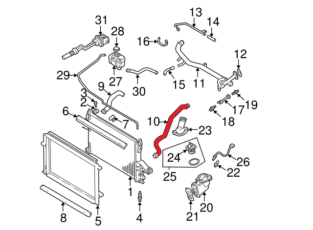 RADIATOR OUTLET HOSE