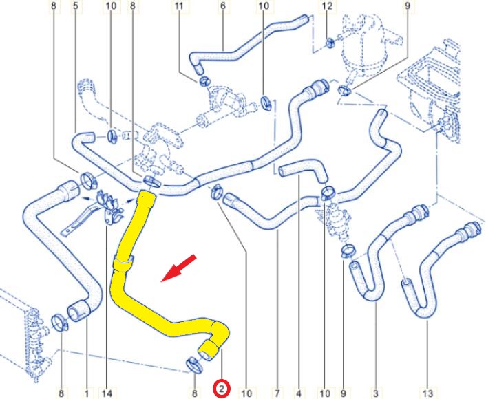 RADIATOR OUTLET HOSE