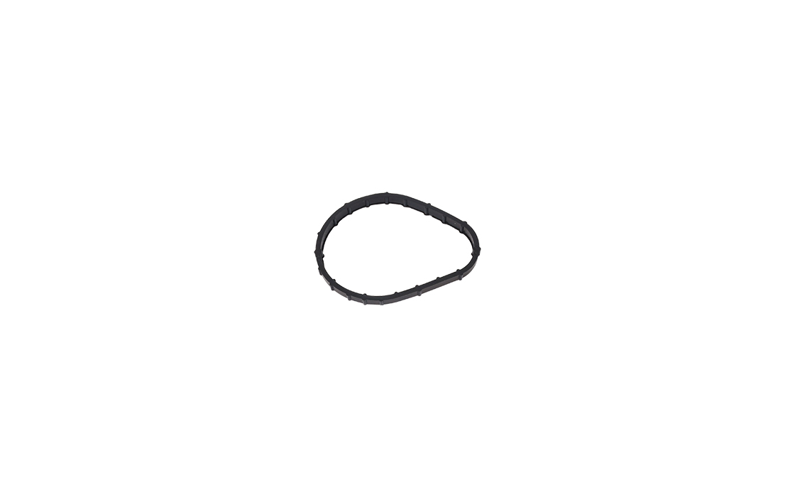 THERMOSTAT BODY GASKET