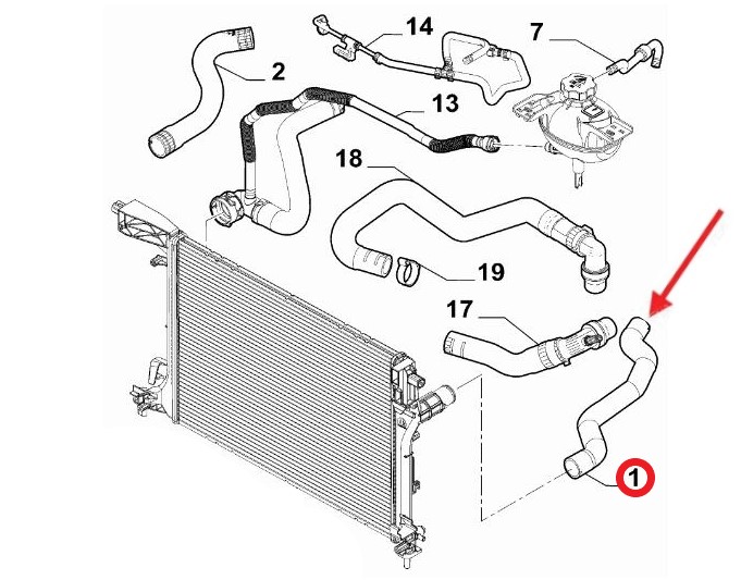 RADIATOR INLET HOSE