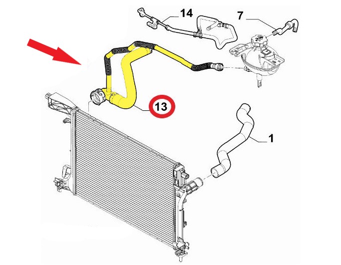 RADIATOR OUTLET HOSE