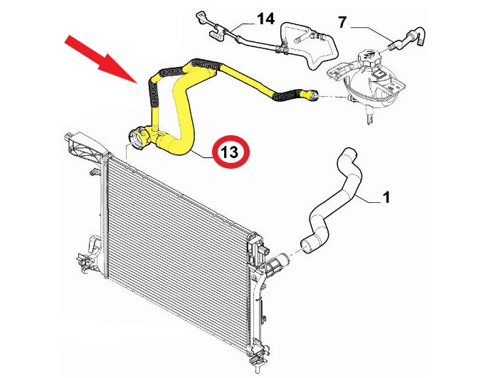 RADIATOR OUTLET HOSE