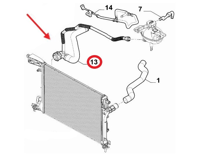 RADIATOR OUTLET HOSE