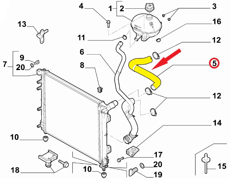 RADIATOR INLET HOSE