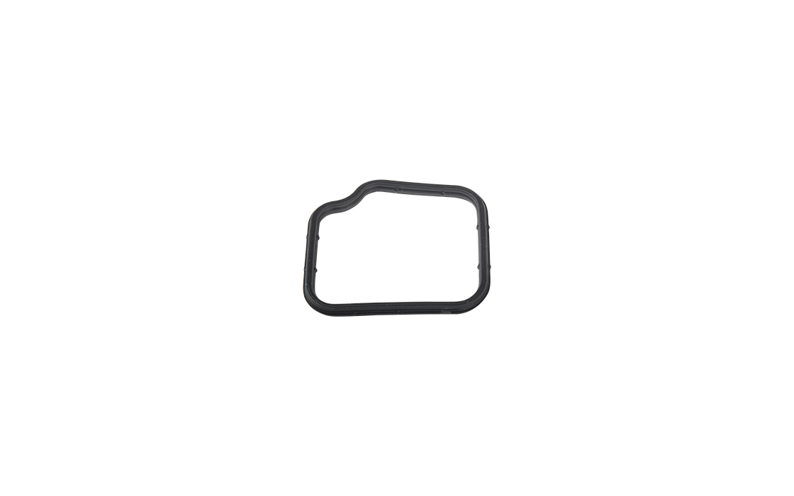 THERMOSTAT BODY GASKET