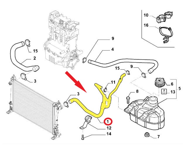 RADIATOR OUTLET HOSE