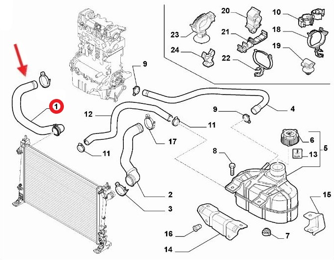 RADIATOR OUTLET HOSE