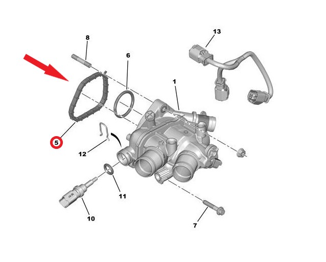 THERMOSTAT BODY GASKET