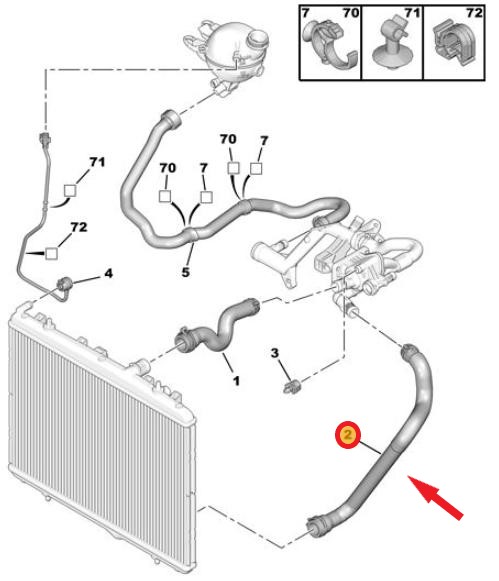 RADIATOR OUTLET HOSE