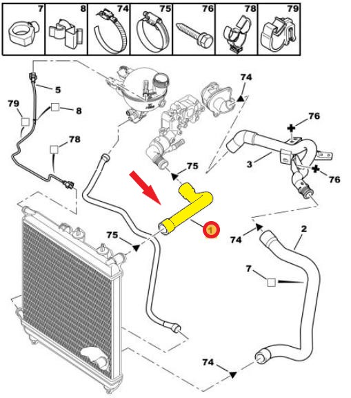 RADIATOR INLET HOSE
