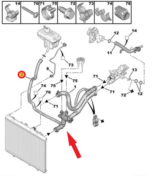 RADIATOR OUTLET HOSE