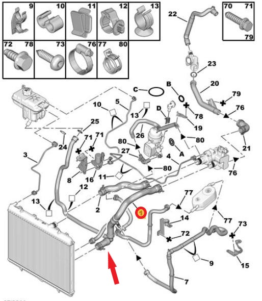 RADIATOR OUTLET HOSE
