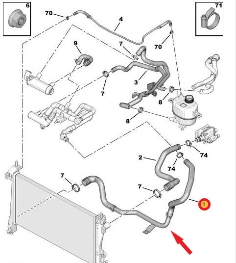 RADIATOR OUTLET HOSE