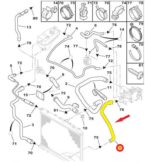 RADIATOR OUTLET HOSE