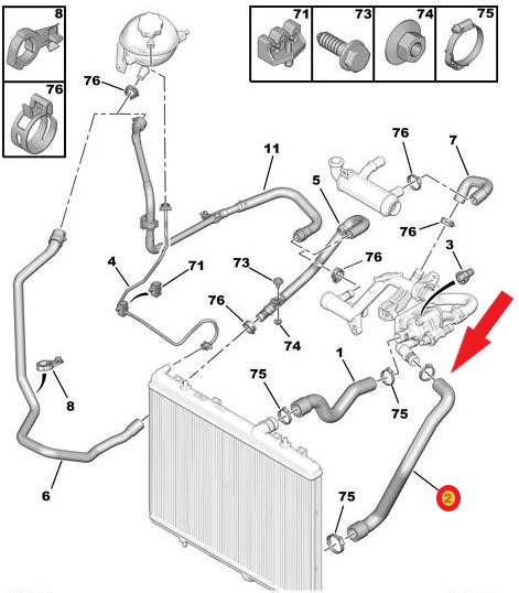 RADIATOR OUTLET HOSE