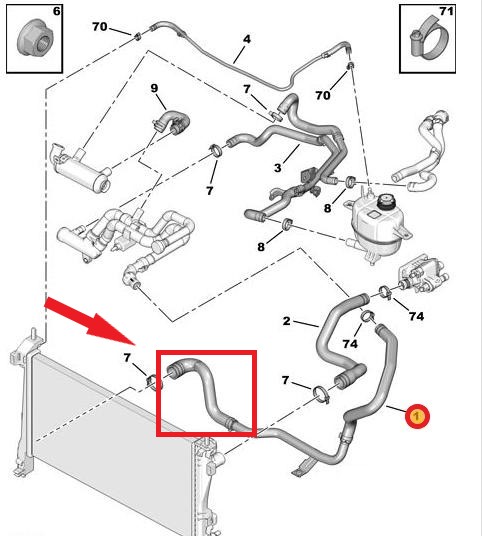 RADIATOR OUTLET HOSEEXCLUDING METAL PIPE 