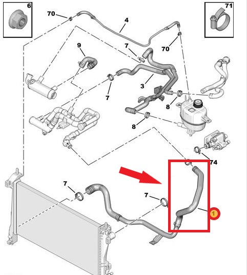 RADIATOR OUTLET HOSEEXCLUDING METAL PIPE 