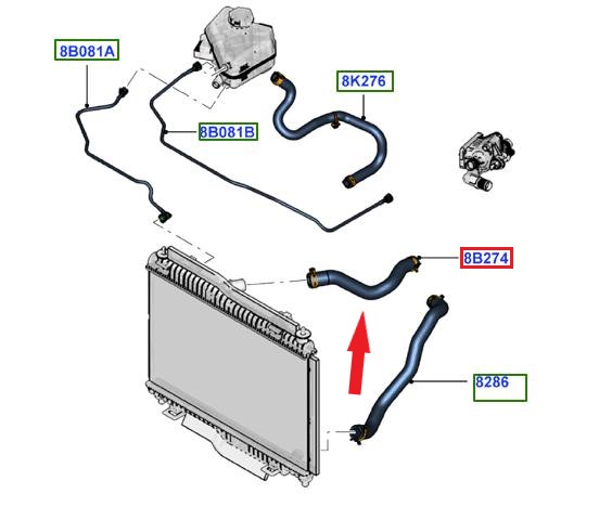 RADIATOR INLET HOSE