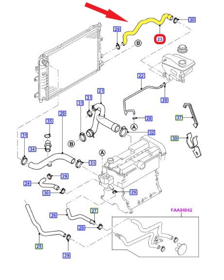 RADIATOR OUTLET HOSE