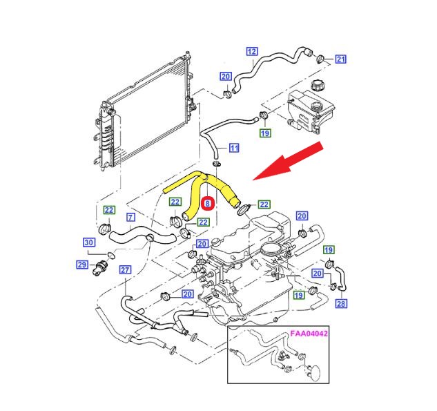 RADIATOR OUTLET HOSE
